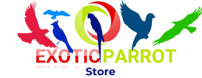 Exotic Parrot Store