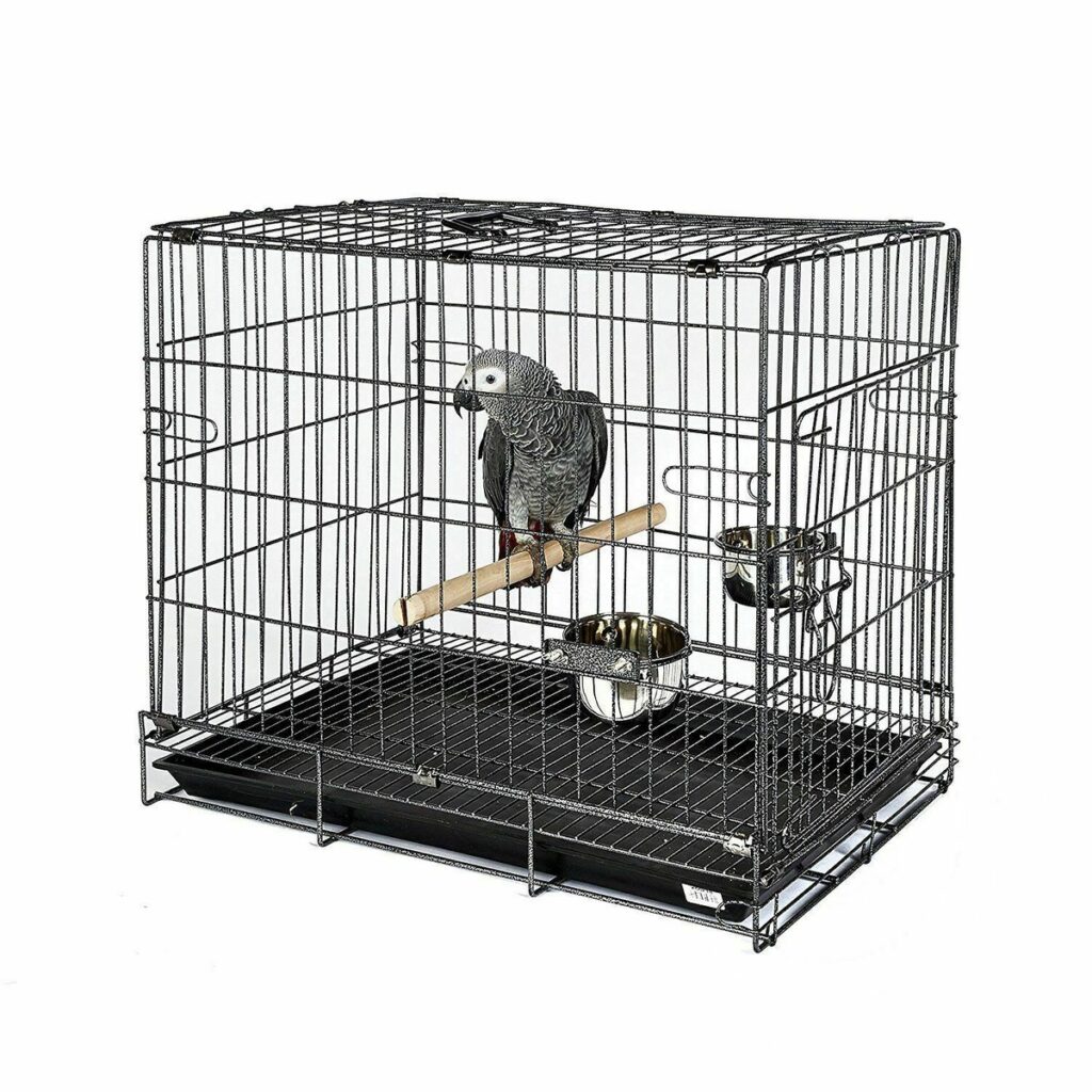 African Grey Parrot Cages for Sale: The Perfect Habitat