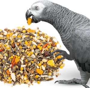 healthy African Grey parrot