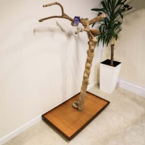 ***Collection Only*** Java Duo Tree – Medium – Natural Hardwood Parrot Playstand