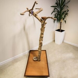 ***Collection Only*** Java Duo Tree – Medium – Natural Hardwood Parrot Playstand